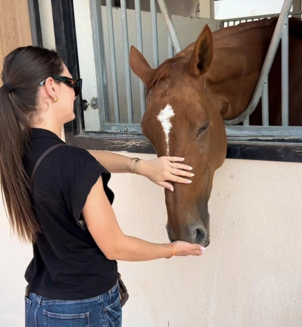 Lena Pecqueux Osteopathe Animalier Maurin Et 20 Kms Autour Contact