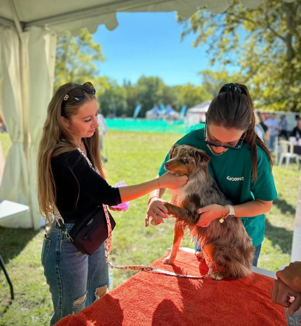 Lena Pecqueux Osteopathe Animalier Maurin Et 20 Kms Autour Osteopathie Animale