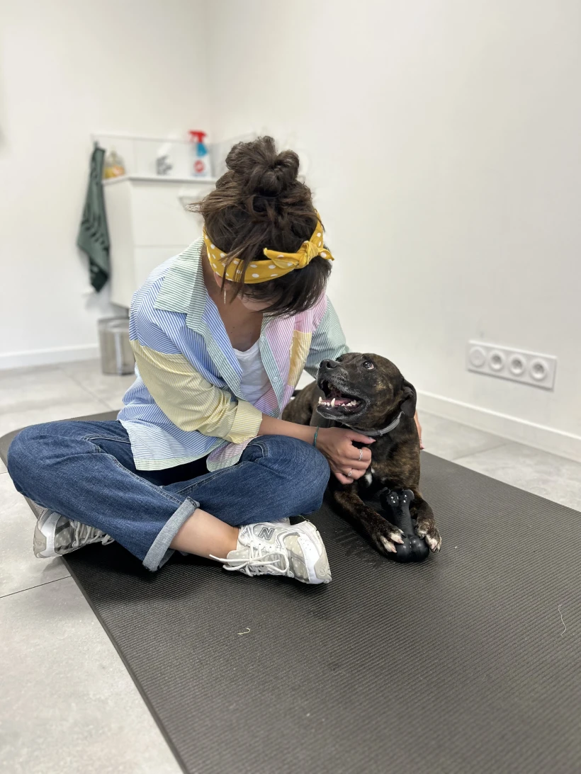 Lena Pecqueux Osteopathe Animalier Maurin Et 20 Kms Autour Des Ann Es De Confort 1 1x