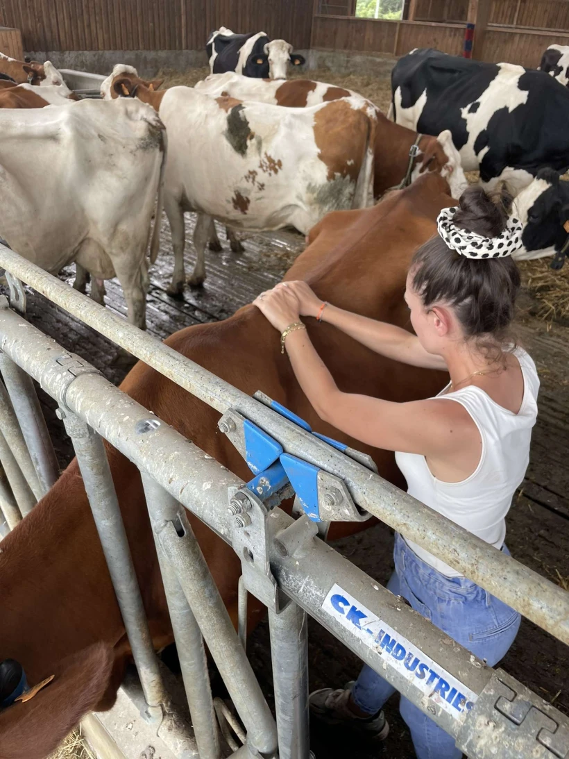 Lena Pecqueux Osteopathe Animalier Maurin Et 20 Kms Autour Protection Des Reproducteurs 1 1x